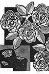 Cabbage Rose chairback set pattern