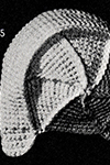 Crocheted Aviator Cap #6025 Pattern