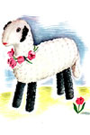 gardenia white lamb