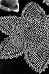 Doily pattern 7768