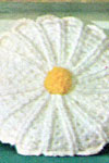 daisy pillow