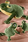 Crocheted Frogs