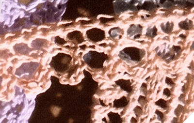 Knit Edging Pattern #8549