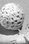 Toy Ball