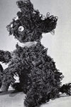 Poodle Pup