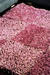 Shaggy Rug