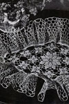 Diamond Setting Doily