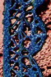 Knitted Edging