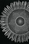 Sea Spray Doily