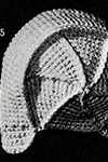 Crocheted Aviator Cap #6025