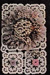 Ranunculus Vanity Set