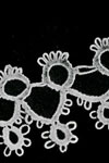 Lacy Border