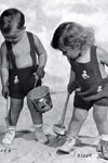 Sandpiper & Mermaid Bathing Suit