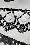 Two-Color Edging #8396
