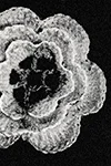 Rosette Motif #8415-A