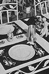 County Fair Luncheon Set