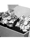 Flowerettes Earrings