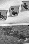 Rug and Matching Pictures
