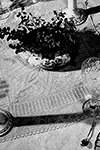 Filet Centerpiece