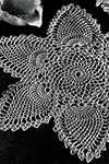 Doily