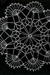 Spiders Web Doily
