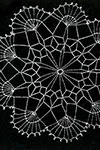 Spiders Web Doily