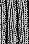 Rib Stitch