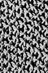 Moss Stitch