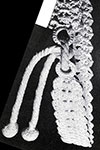 Shell Belt