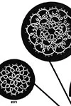 Tatting Medallions