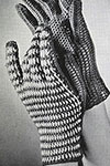 Sport Glove