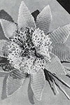 Giant Lily Boutonniere