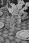 Moonbeam Tablecloth