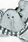 Fluffy Dog