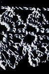 Furbelow Edging Pattern #1813
