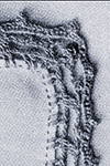 Furbelow Edging Pattern #1816