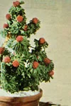 Tabletop Christmas Tree