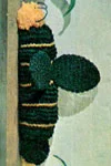 Bumble Bee Pillow