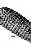 Corn Potholder