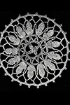 Round Medallion