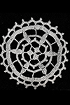 Medallion