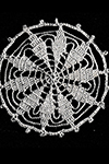 Round Ten-Point Star Medallion