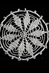 Round Ten-Point Star Medallion