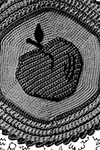Apple Potholder