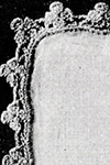 Dainty Crochet Edging #703