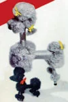 French Poodles Toy