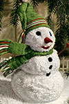 Mr. Snow Man