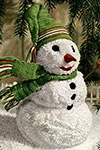 Mr. Snow Man