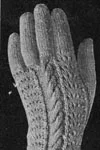 Woman's Gloves