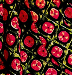 Rosebud Ring Afghan #B-130